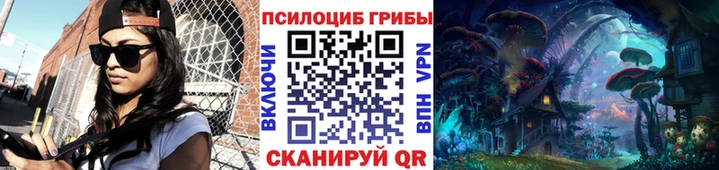 Галлюциногенные грибы Cubensis  Купить закладки  Приволжский 